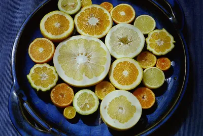 How to Grow and Care for Citrus Trees Indoors