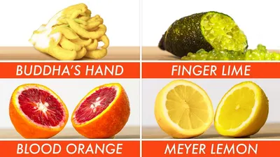 Types of Citrus Trees - Varieties of Citrus - Growing In The Garden
