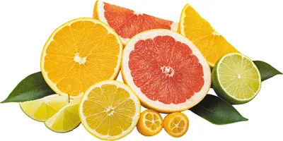 Citrus | Fruit, Trees, Aromatic | Britannica