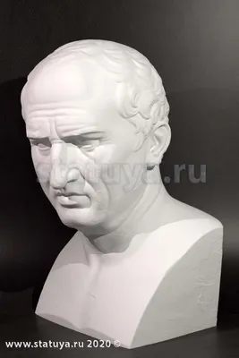 Цицерон как философ: жизнь скептика и смерть стоика | Лидия, неисправимый  гуманитарий | Дзен