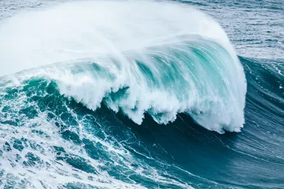 В Канаде обнаружен разлом земной коры, который способен вызвать цунами в  Северной Америке - Газета.Ru | Новости