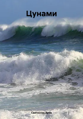 Японию и Калифорнию накрыло мощнейшее цунами, жертвами которого стали 20  судов: опубликовано видео из космоса - TOPNews.RU