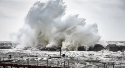К чему снится цунами | 7Дней.ru