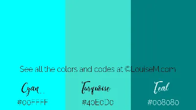 21 Turquoise Hex Codes for Every Kind of Design that Delights | LouiseM
