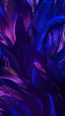 Купить Диван Мельбурн цвет индиго по выгодной цене 56 799 рублей в Москве –  фото и цены в интернет-магазине от производителя