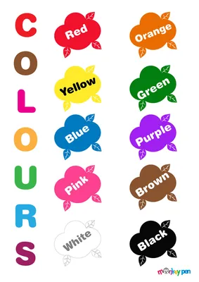 Color Psychology In Marketing: The Complete Guide