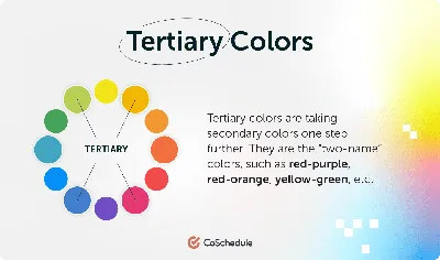 Complementary Colours: Everything You Need To Know - Hobbies and Crafts