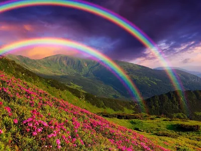 Разные цвета, стираемые, 24 цвета радуги | AliExpress
