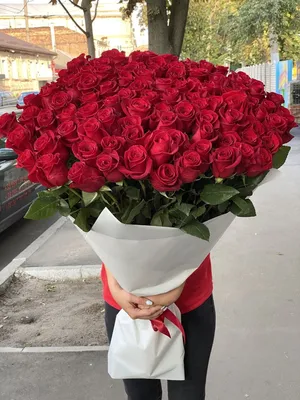 Сердце из 101 розы «Ты в моём сердце» купить по цене 16 100 руб. с  доставкой в Краснодаре