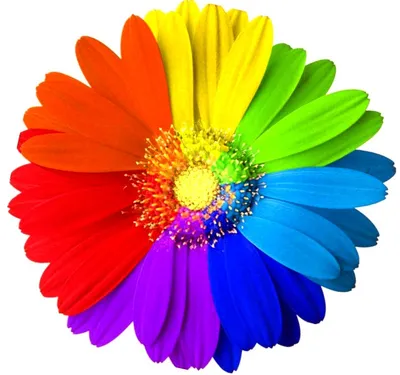 Цветик-семицветик для детского сада I Процесс создания цветка из сказки в  студии Olneva Decor - YouTube