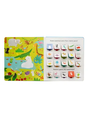 Набор карточек для фотосессии и записей, цветной / карточки для фотосессии  новорожденного , карточки для фотосессии малыша купить по выгодной цене в  интернет-магазине OZON (162550756)