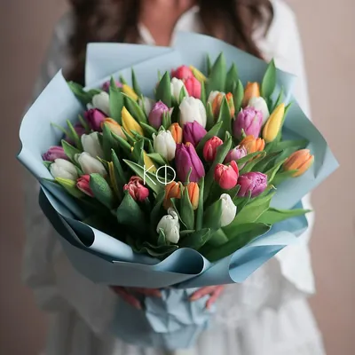 Цветные тюльпаны на 8 марта · бесплатная открытка от viola