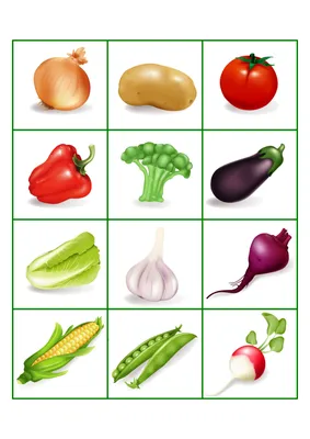Коллекция цветные акварелью овощей. Свежие овощи красочный фон Иллюстрация  штока - иллюстрации насчитывающей цветасто, огурец: 191076149