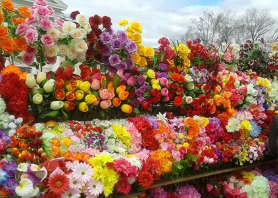 Набор цветов ручной работы. Соседские цветочки.