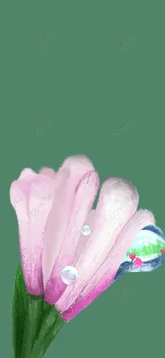 Купить Корейский милый синий розовый цветок на запястье прозрачный чехол  для телефона для Iphone 14 Pro 13 12 11 Pro Max 3d цветочный кулон  прозрачный чехол | Joom
