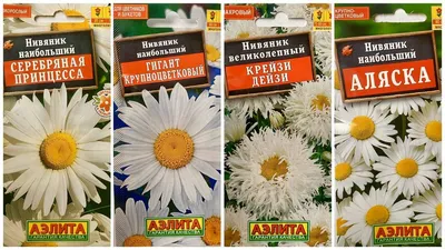 Семена Нивяник Аляска 0,2г купить с доставкой в МЕГАСТРОЙ Россия