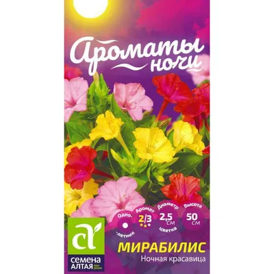 Семена цветов Поиск мирабилис Ночная красавица по цене 37 ₽/шт. купить в  Сургуте в интернет-магазине Леруа Мерлен