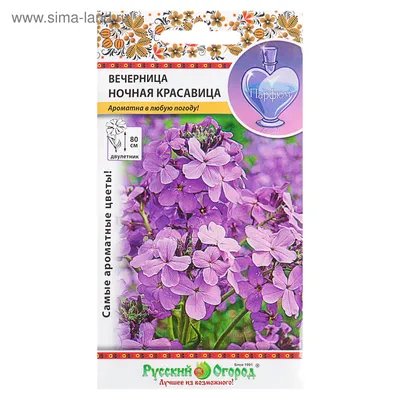 Семена цветка Мирабились, ночная красавица, 10 шт купить по низким ценам в  интернет-магазине Uzum (864178)