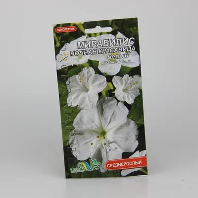 Мирабилис Ночная красавица семена 15 шт (ID#1331049941), цена: 10 ₴, купить  на Prom.ua