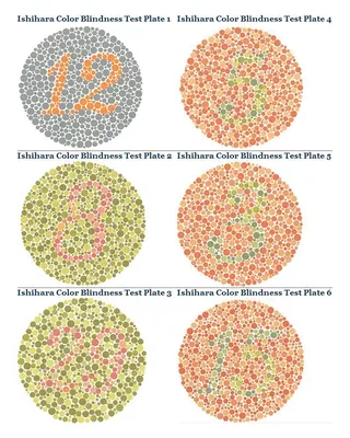 Таблица для исследования цветоощущения РАБКИНА | bh.market - Медицинский  маркетплейс