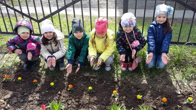 Маркировка: Комнатные цветы в детском саду и школе