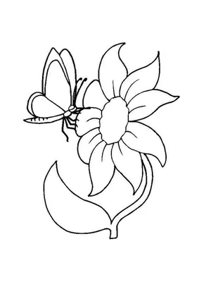 Рисунок цветов для срисовки на открытку (33 шт)