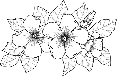 Как нарисовать Цветик Семицветик (Радугу) / уроки рисования для детей -  YouTube
