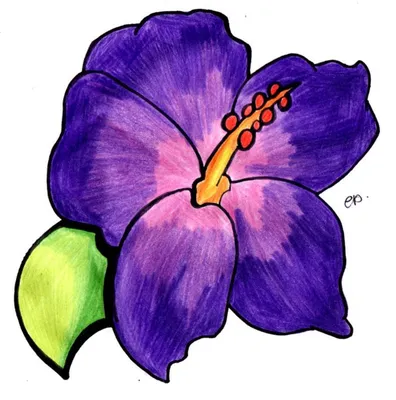 Рисунки цветов для срисовки маркерами скетчинга (61 шт)