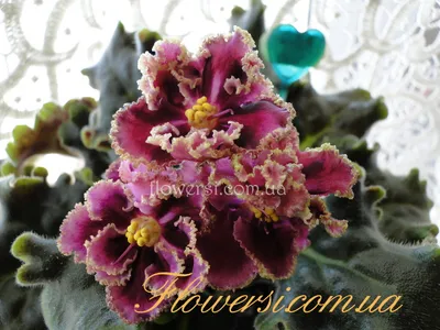 Искусственные цветы Фиалки фиолетовые - цветы искусственные для декора