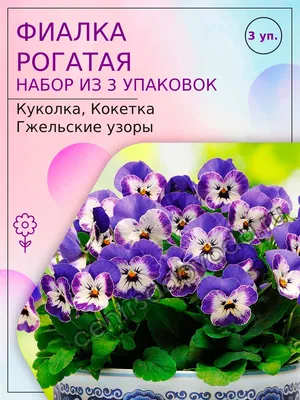 Набор семян цветов 3 упаковки. Многолетние цветы. Фиалка рогатая: Куколка,  Кокетка, Гжельские узоры. | AliExpress