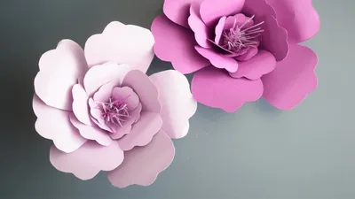 Цветы из бумаги: популярные схемы изготовления цветов и оригинальные  бумажные шаблоны (165 фото + видео)