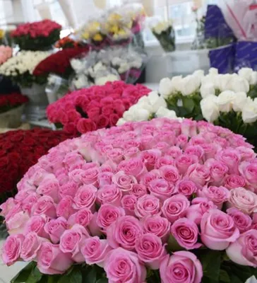 Цветочный символ 8 марта - статьи интернет-магазина «Доставка цветов».
