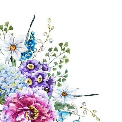 цветы на белом фоне рисунок | Дикие цветы, Цветы, Рисунок
