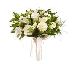 набор различных красивых цветов на белом фоне цветок сверху вид  изолированный цветник сверху вид праздничный цветок Стоковое Фото -  изображение насчитывающей свеже, элегантность: 226981254