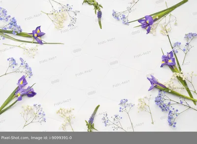 Букет красивых цветов и подарок на белом фоне :: Стоковая фотография ::  Pixel-Shot Studio