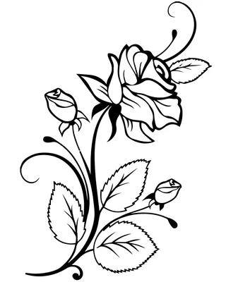 Цветок Daffodil. Графический рисунок цветов. Иллюстрация вектора -  иллюстрации насчитывающей расцветка, вырез: 214748661