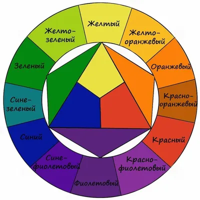Цветовой круг Иттена: как правильно подбирать и сочетать цвета