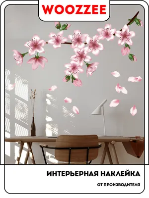 Живые обои Аниме Sakura Drop Animated Wallpaper скачать бесплатно для  windows