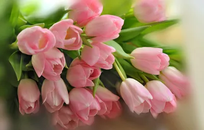 Как сэкономить при покупке цветов 8 марта?