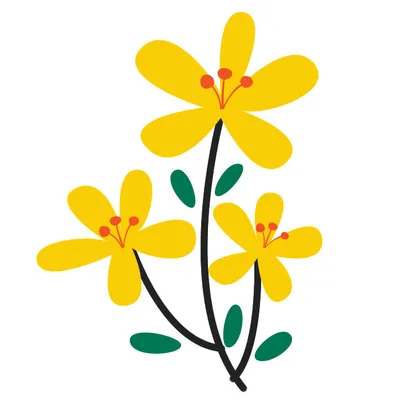 Цветы — раскраски для детей скачать онлайн бесплатно