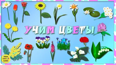 Учим слова. Цветы для малышей! Развивающие мультики для детей - YouTube