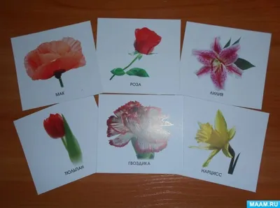 Безопасные цветы для детей | блог интернет - магазина АртФлора