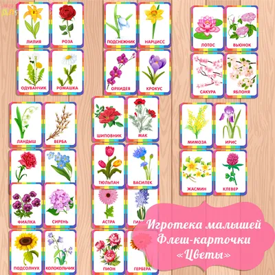 Игротека малышей-развивающие карточки цветы скачать, распечатать