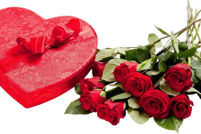 Букет цветов Любимой девушке - купить по цене 12921 ₽ с доставкой, Псков