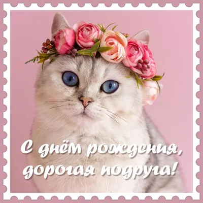 Купить букет из шоколадных роз для девочки по доступной цене с доставкой в  Москве и области в интернет-магазине Город Букетов