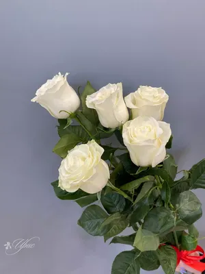Сердце из роз Я тебя люблю купить недорого, доставка - магазин цветов Абари  в Омске
