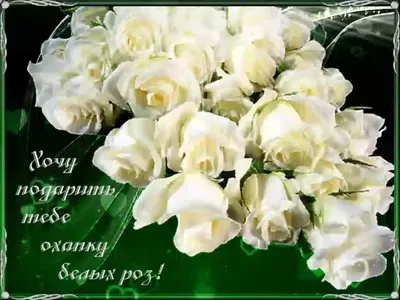 ЭТИ ЦВЕТЫ ДЛЯ ТЕБЯ. КРАСИВАЯ МУЗЫКАЛЬНАЯ ОТКРЫТКА.🌹🌹🌹 - YouTube