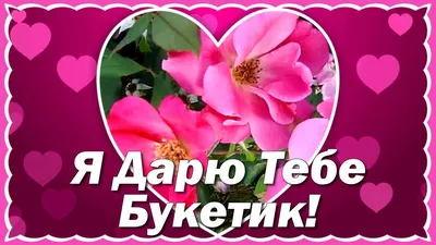 🌷Всегда очень приятно получать цветы! Они поднимают настроение, заставляют  улыбаться. Цветы - это напоминание о том, что о тебе думают и… | Instagram