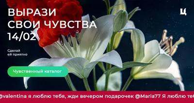 Символика георгин и их значение на языке цветов - блог АртФлора