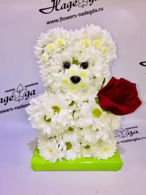 Цветы в коробке «Фуксия» и медведь купить в Москве в Букет-Элит